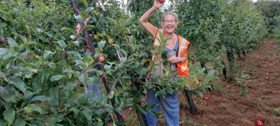 This year’s harvest is underway – let’s get gleaning